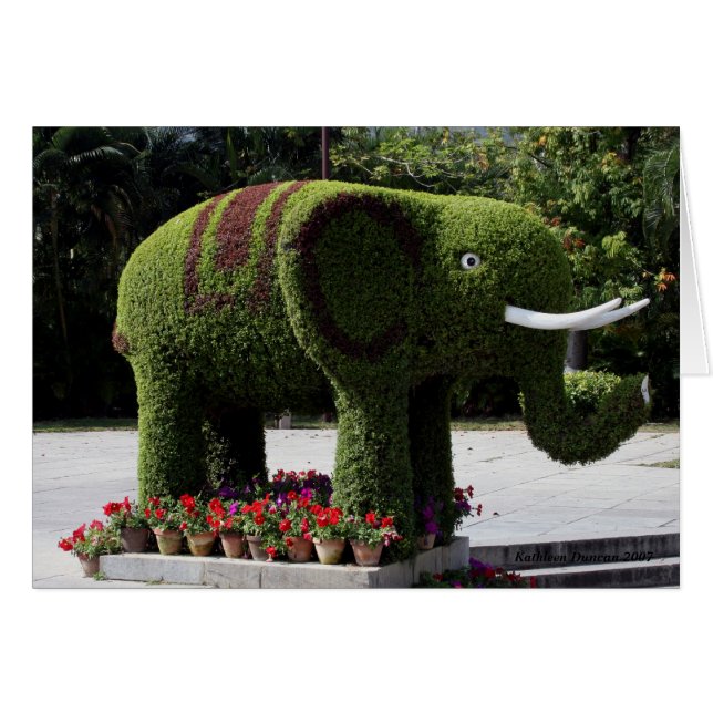 Eléphant dans le jardin chinois (Devant horizontal)