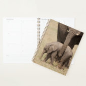 Éléphant de bébé africain avec mère (Devant avec enveloppe)