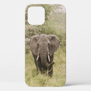 ELEPHANT DIE EEN TOURAUTO BEKIJKT iPhone 12 HOESJE