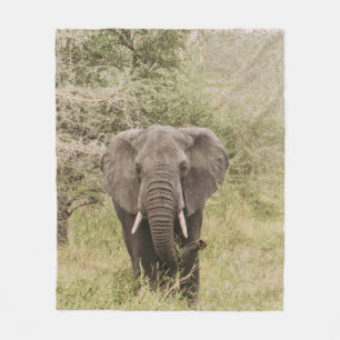 ELEPHANT DIE EEN TOURAUTO BEKIJKT FLEECE DEKEN