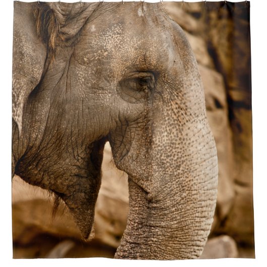 ELEPHANT DOUCHEGORDIJN (Voorkant)