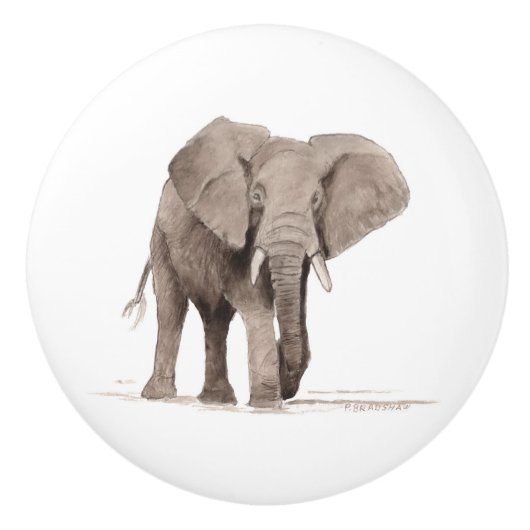 elephant drawer pull keramische knop (Voorkant)