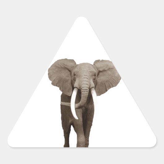 Elephant Driehoek Sticker (Voorkant)