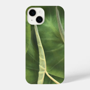 Elephant Ear Leaf   Tropische groene bladeren iPhone 14 Hoesje