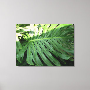 Elephant Ear Plant Canvas afdrukken