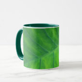 Elephant Ears - Colocasia Mok (Voorkant links)