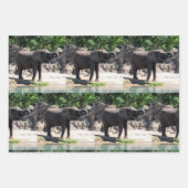 Eléphant - Enveloppement de feuilles de papier (Devant)