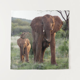 Éléphant et bébé (57x57 carrés dedans.) Tapisserie