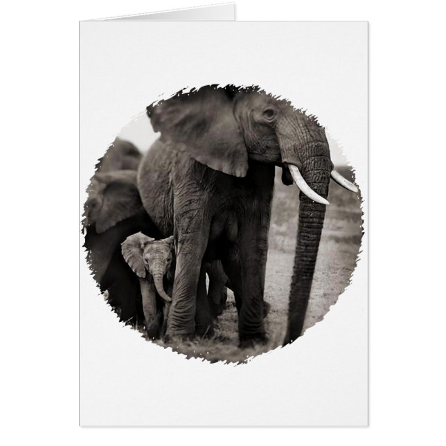 Eléphant et bébé Eléphant (Devant)