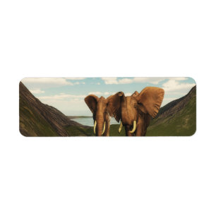 Elephant Etiket