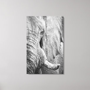 Elephant Eye Canvas Afdruk