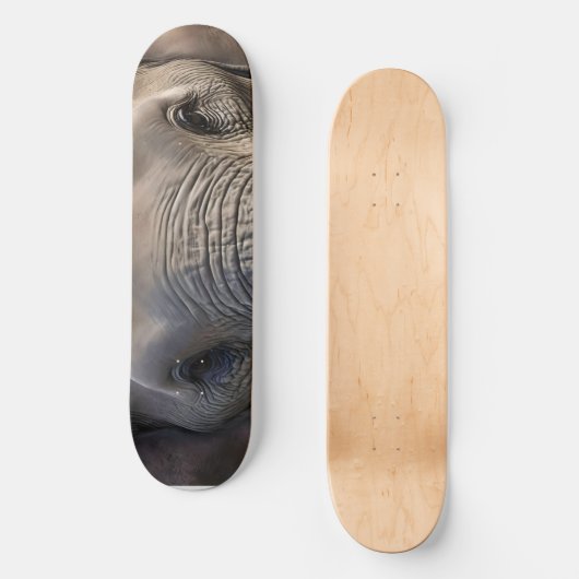 Elephant Eyes Schaats Deck Skateboard (Voorkant)