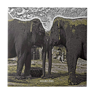 Elephant Eyes Tegeltje