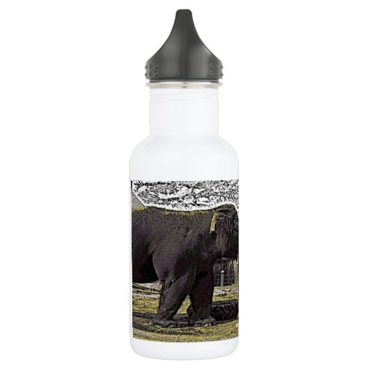 Elephant Eyes Waterfles (Links)