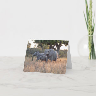 ELEPHANT FAMILIE KAART