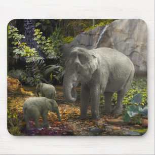 ELEPHANT FAMILY GREEN ROOM MUISMAT
