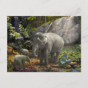 Elephant Family RAIN FOREST PARTY Briefkaart