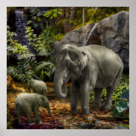 Elephant Family RAIN FOREST PARTY Poster (Voorkant)