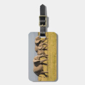 Elephant Family Walking Bagagelabel (Voorkant verticaal)