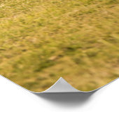 Elephant Family Walking Poster (Hoek)