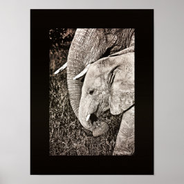 Elephant foto Afrikaanse kunst PORTFOLIO formaat Poster