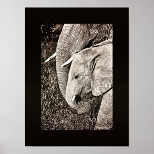 Elephant foto Afrikaanse kunst PORTFOLIO formaat Poster