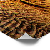 Elephant-foto Poster (Hoek)