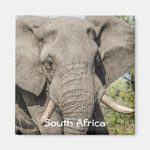 Elephant Fridge Magnet - Zuid - Afrika Magneet
