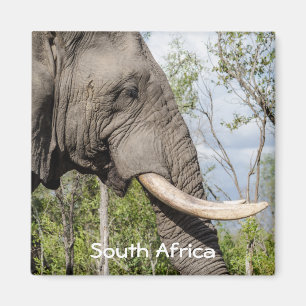 Elephant Fridge Magnet - Zuid - Afrika Magneet