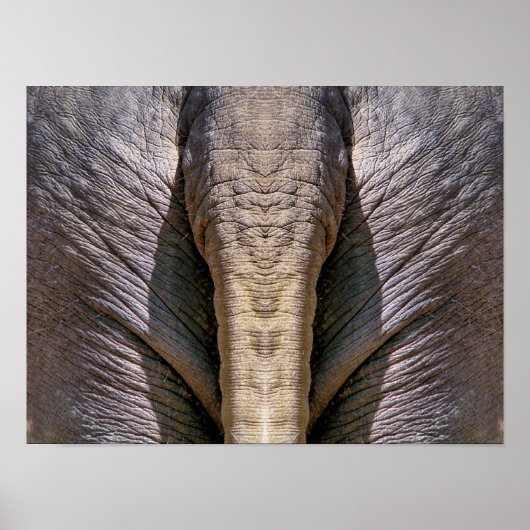 ELEPHANT FUN POSTER (Voorkant)