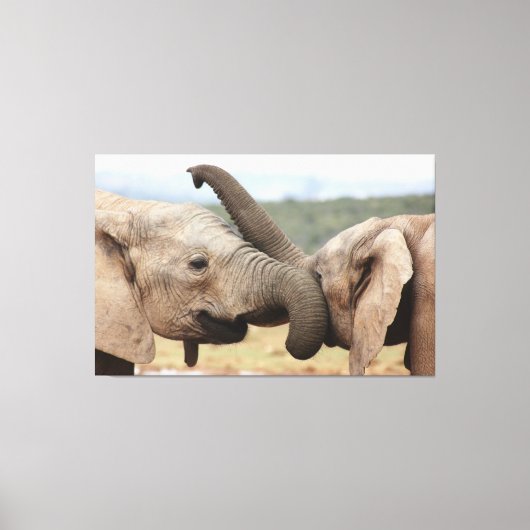 Elephant greeting Canvas omgeven (Voorkant)