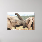 Elephant greeting Canvas omgeven Afdruk (Voorkant)