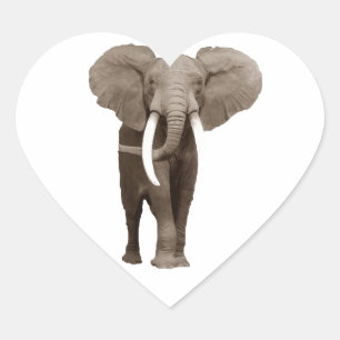 Elephant Hart Sticker