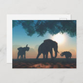 Elephant herd briefkaart (Voorkant / Achterkant)
