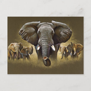 Elephant Herd Charging Briefkaart