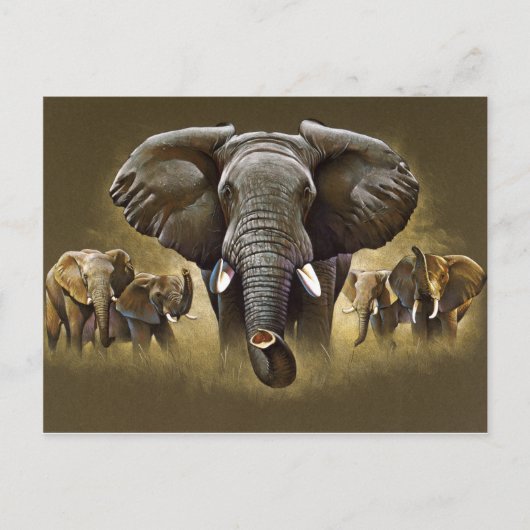 Elephant Herd Charging Briefkaart (Voorkant)