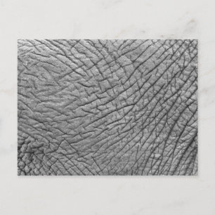 Elephant huid briefkaart