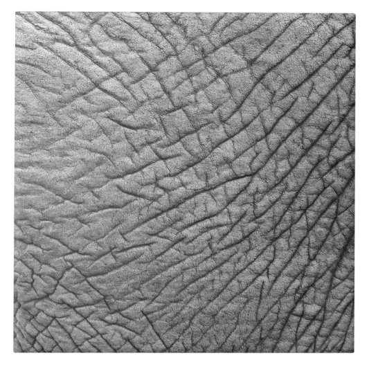 Elephant huid tegeltje (Voorkant)