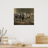 Elephant Hunter over Safari Poster (Keuken)