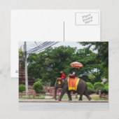 Elephant in Ayutthaya Thailand Briefkaart (Voorkant / Achterkant)