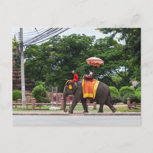 Elephant in Ayutthaya Thailand Briefkaart (Voorkant)