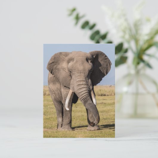 Elephant in een agressief middel briefkaart (Staand voorkant)