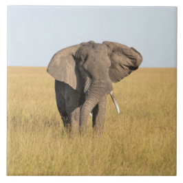 Elephant in Natural African Setting Ceramic Tile Tegeltje