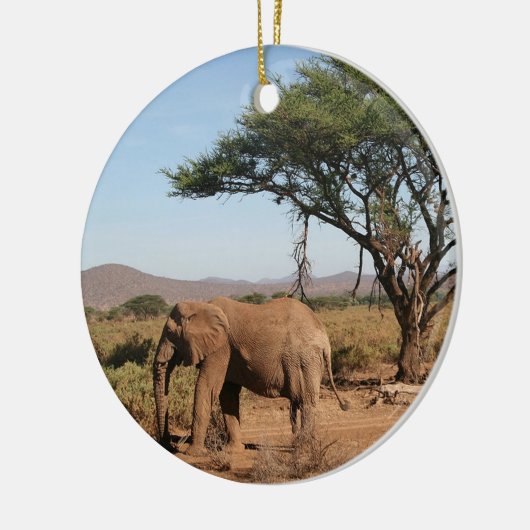 Elephant in Samburu National Reserve Keramisch Ornament (Links)