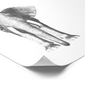 Elephant in zwart-wit poster (Hoek)