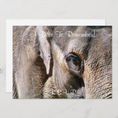 ELEPHANT KAART (Voorkant / Achterkant)