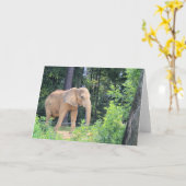 Elephant Kaart (Gele Bloem)