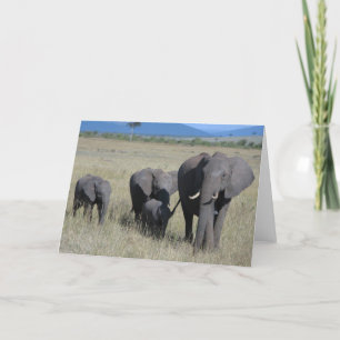 Elephant Kaart