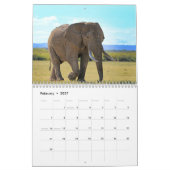 Elephant Kalender (Feb 2027)
