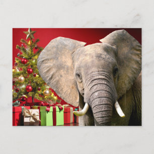 Elephant kerstgroet briefkaart